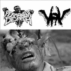 Permanent Death : Permanent Death - VRV ?